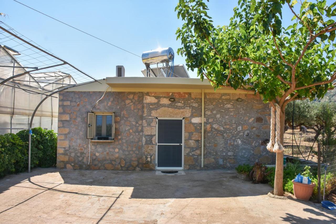 Pause Serenity House Into Olive Groves Villa Agios Fotios Exterior foto