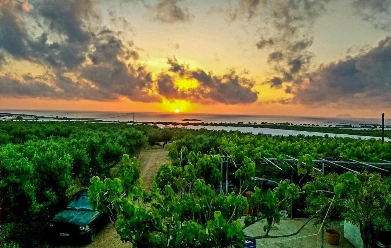 Pause Serenity House Into Olive Groves Villa Agios Fotios Exterior foto